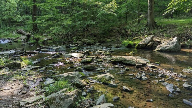 Darlington Trailhead - Media, PA