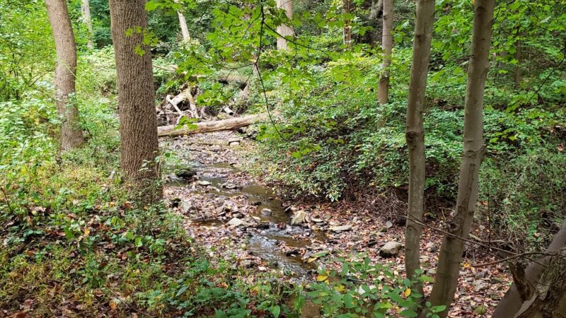 Glen Providence Park - Media, PA