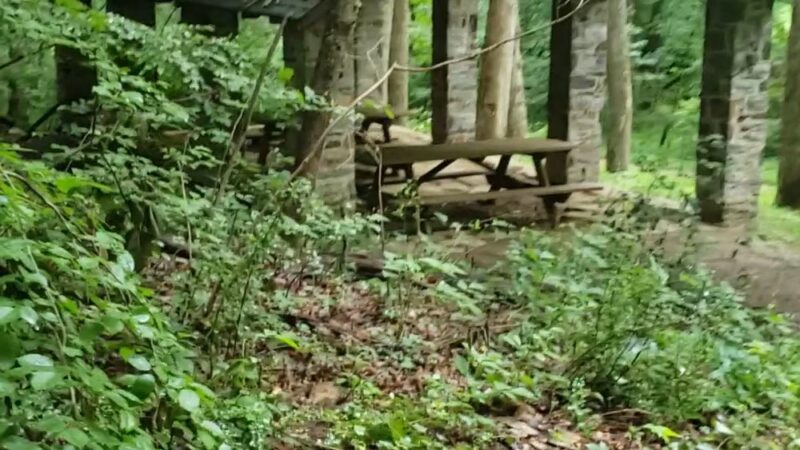 Glen Providence Park - Media, PA