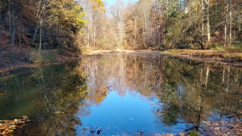 Glen Providence Park - Media, PA
