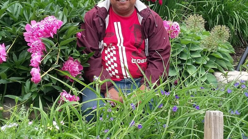 High Meadow Park - Media, PA