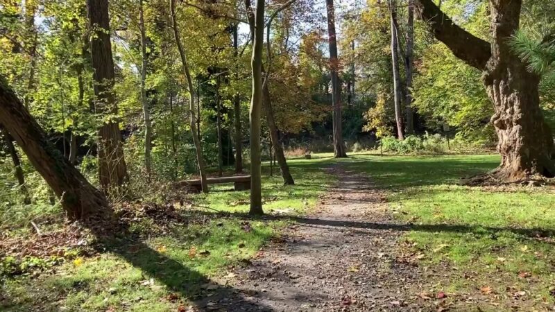 Houtman Park - Media, PA