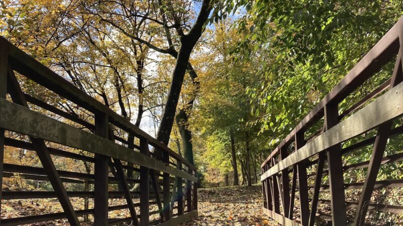 Houtman Park - Media, PA