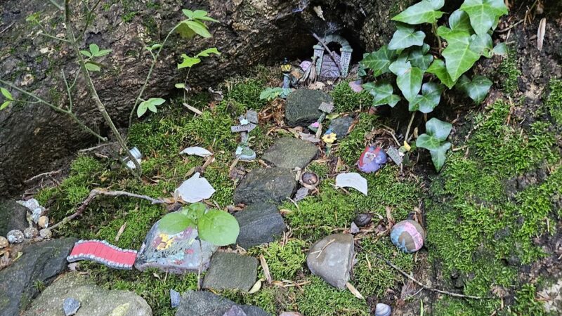 Indian Orchards Park - Media, PA