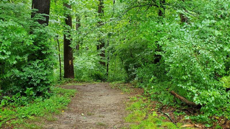 Indian Orchards Park - Media, PA