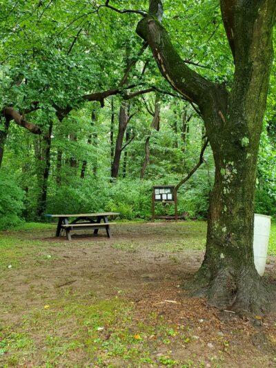 Indian Orchards Park - Media, PA