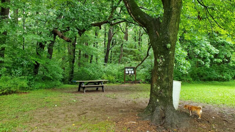 Indian Orchards Park - Media, PA