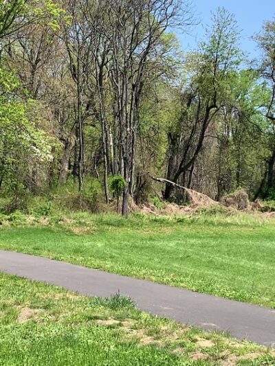 Longview Park - Media, PA