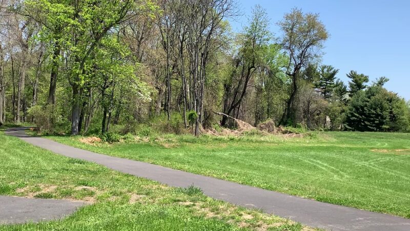 Longview Park - Media, PA