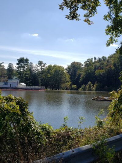 Martin Park - Media, PA