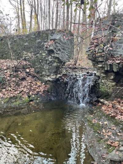 Martin Park - Media, PA