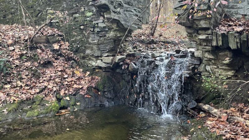 Martin Park - Media, PA