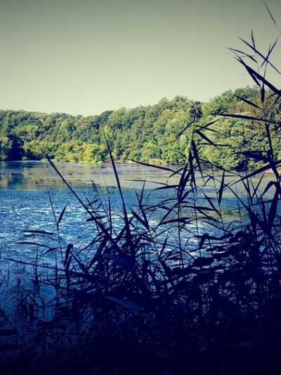 Martin Park - Media, PA