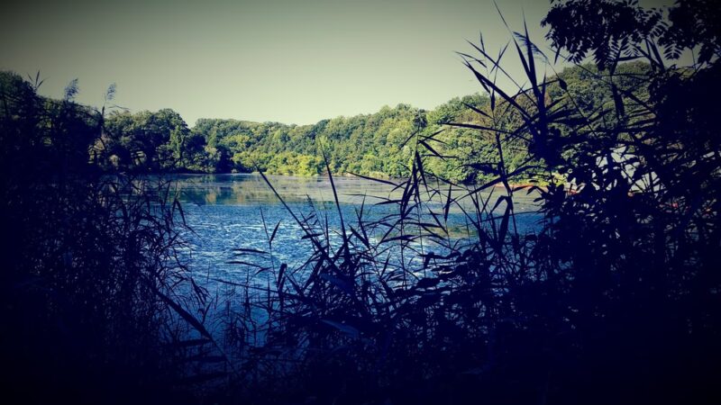 Martin Park - Media, PA
