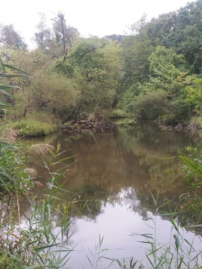 Martin Park - Media, PA