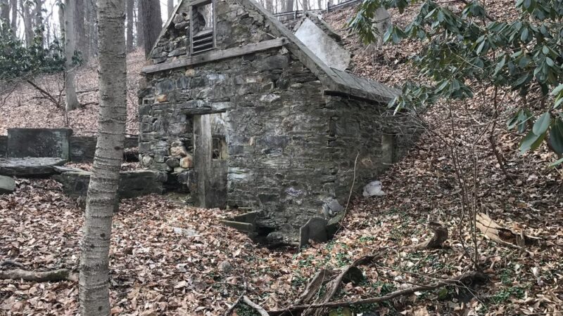 Martin Park - Media, PA