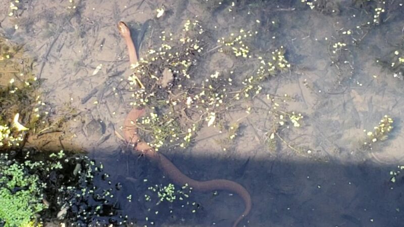 Memorial Park - Media, PA