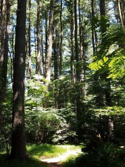 Memorial Park - Media, PA