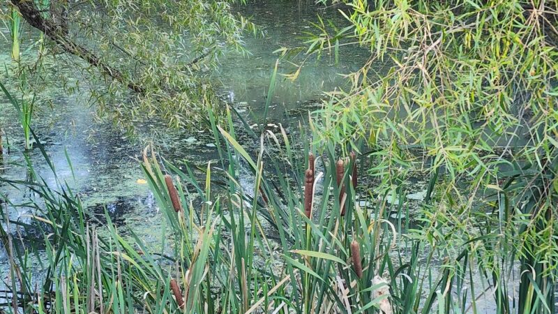 Middletown Township Memorial Park - Media, PA