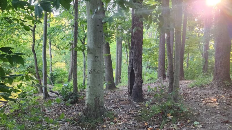 Middletown Township Memorial Park - Media, PA