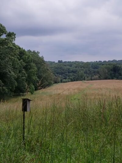 Natural Lands' Hildacy Preserve - Media, PA