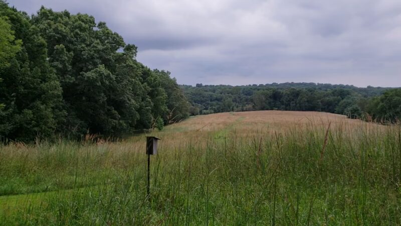 Natural Lands' Hildacy Preserve - Media, PA