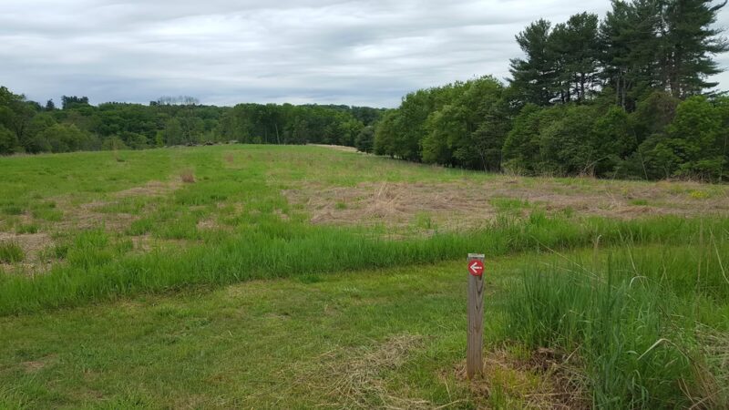 Natural Lands' Hildacy Preserve - Media, PA