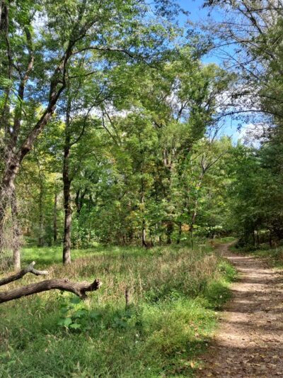 Natural Lands' Hildacy Preserve - Media, PA