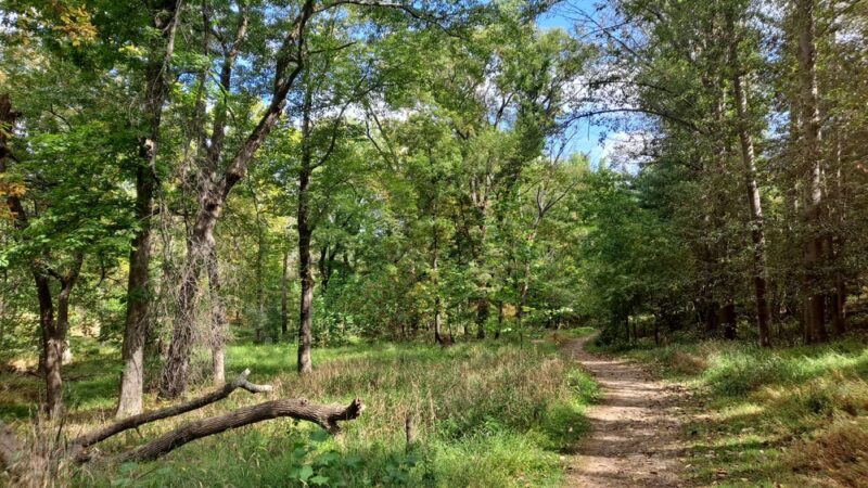 Natural Lands' Hildacy Preserve - Media, PA