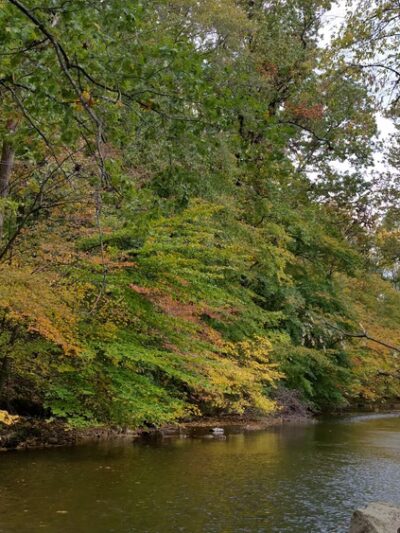 Natural Lands' Wawa Preserve - Media, PA