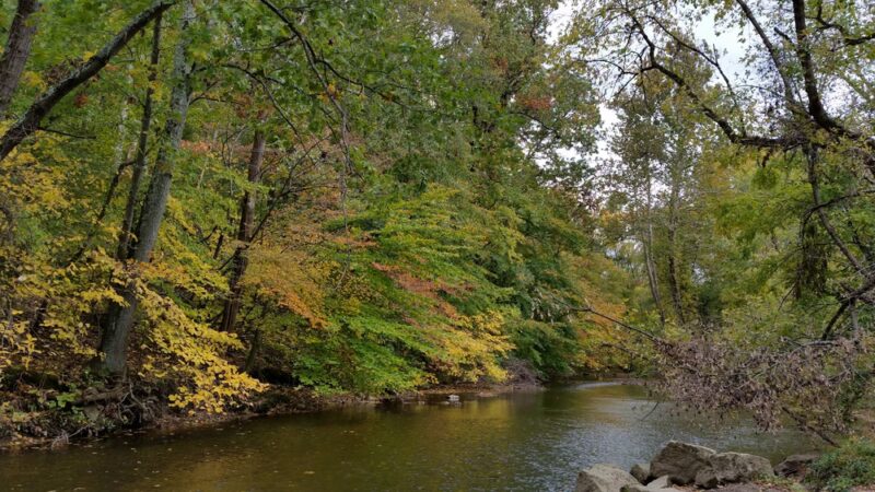 Natural Lands' Wawa Preserve - Media, PA