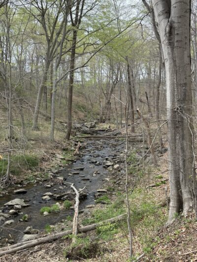 Natural Lands' Wawa Preserve - Media, PA