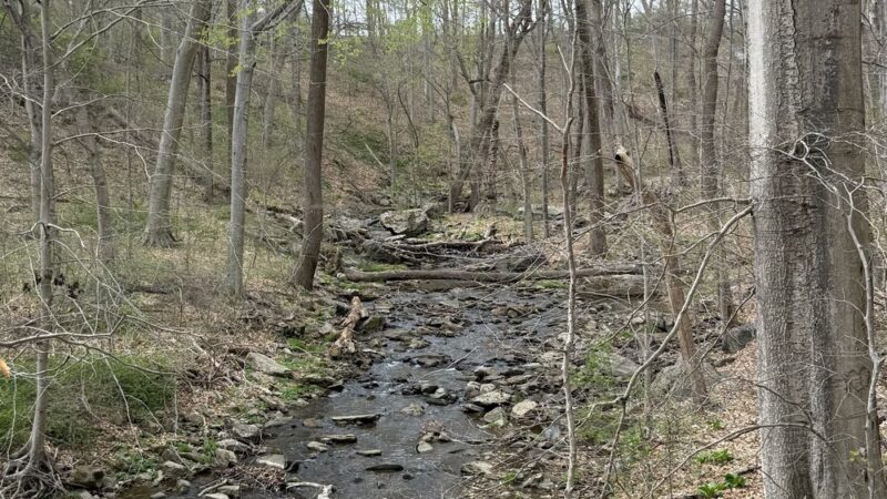 Natural Lands' Wawa Preserve - Media, PA