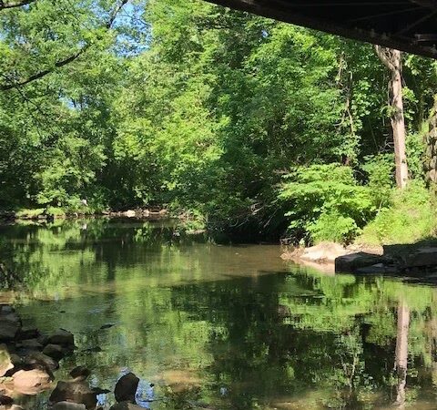 Natural Lands' Wawa Preserve - Media, PA