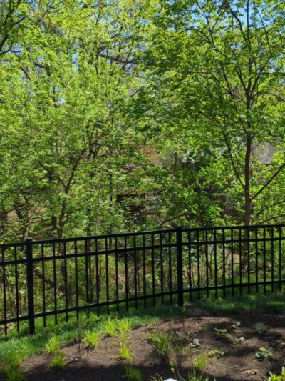 Phillip Green Park - Media, PA