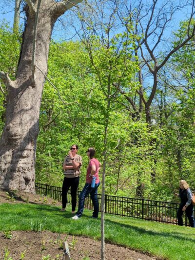 Phillip Green Park - Media, PA