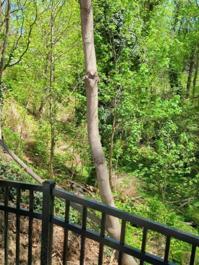 Phillip Green Park - Media, PA