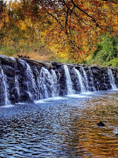 Ridley Creek State Park - Media, PA