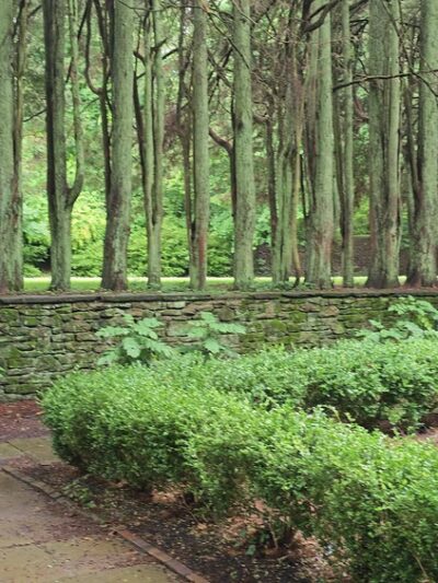 Ridley Creek State Park - Media, PA