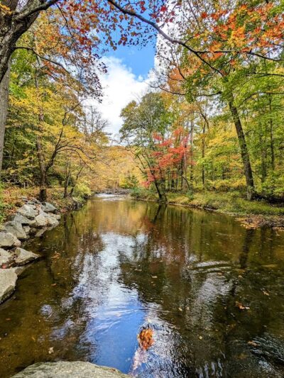 Ridley Creek State Park - Media, PA