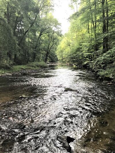 Ridley Creek State Park - Media, PA