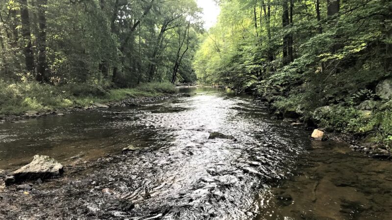 Ridley Creek State Park - Media, PA