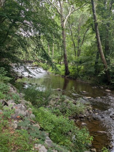 Ridley Creek Trail - Media, PA
