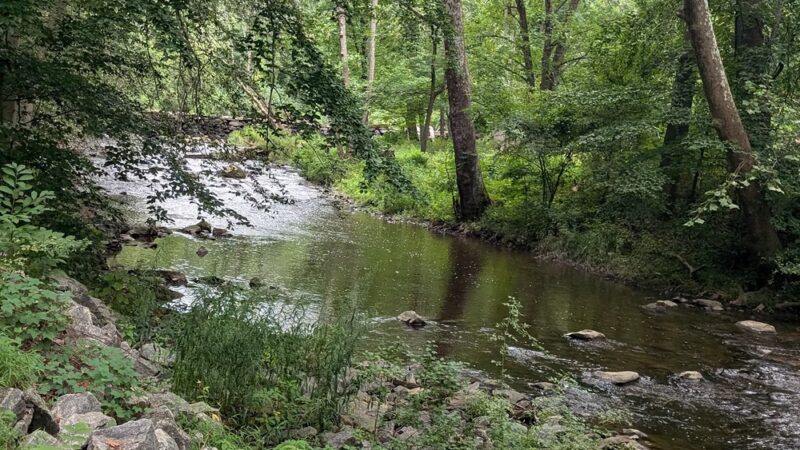 Ridley Creek Trail - Media, PA