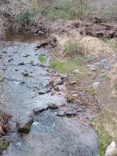 Ridley Creek Trail - Media, PA