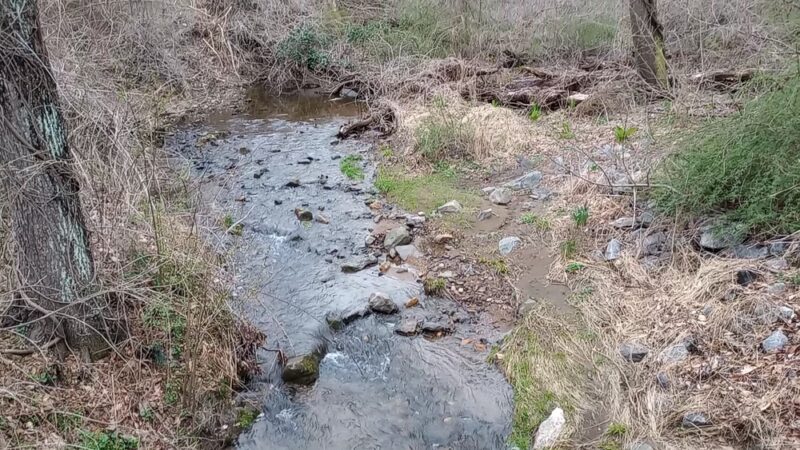 Ridley Creek Trail - Media, PA