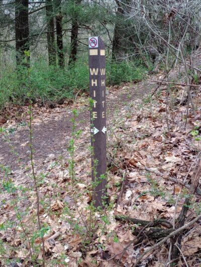 Ridley Creek Trail - Media, PA