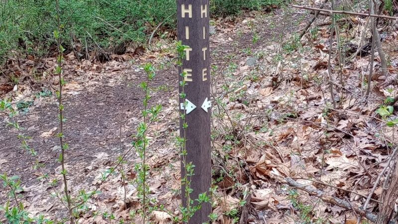 Ridley Creek Trail - Media, PA