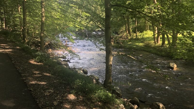 Ridley Creek Trail Entrance & Parking - Media, PA