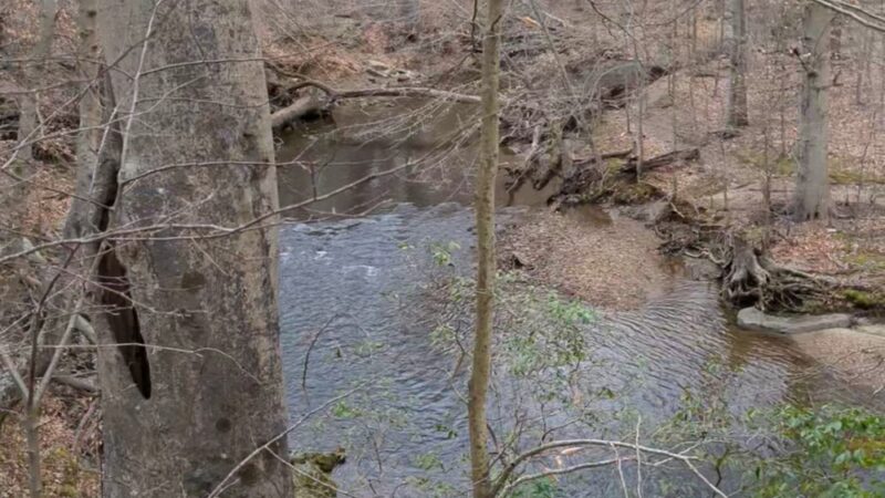 Ridley Creek Trail Entrance & Parking - Media, PA